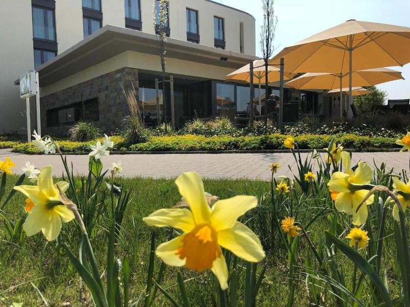 Hotel Susato image