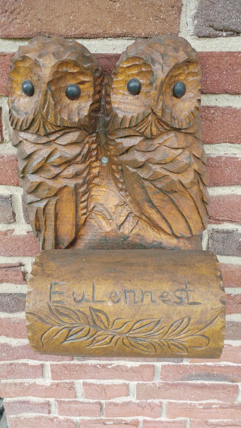 Eulennest image