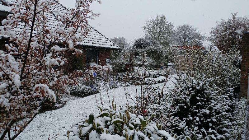 Eulennest image