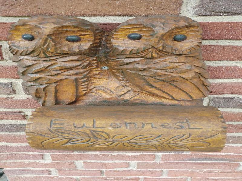 Eulennest image