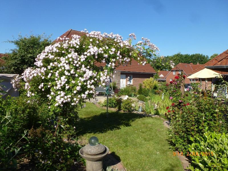 Eulennest image