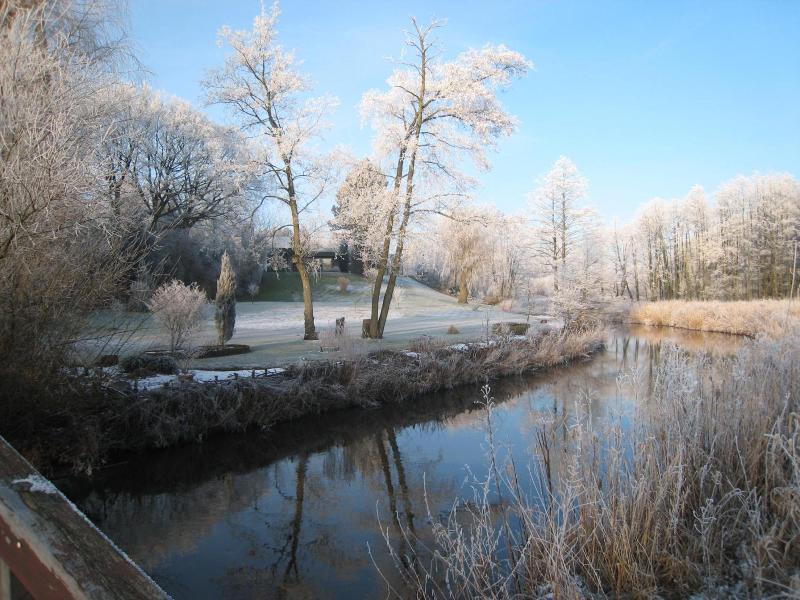 Eulennest image