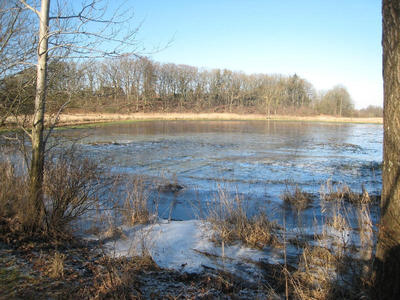 Eulennest image
