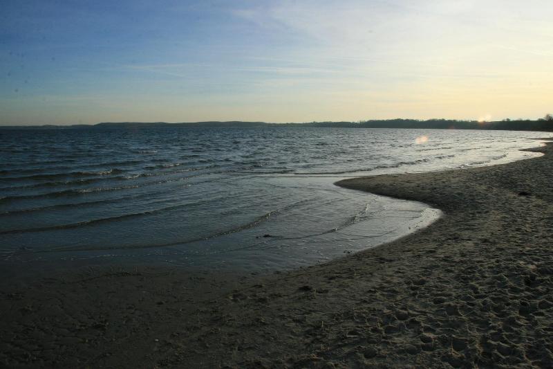 Eulennest image