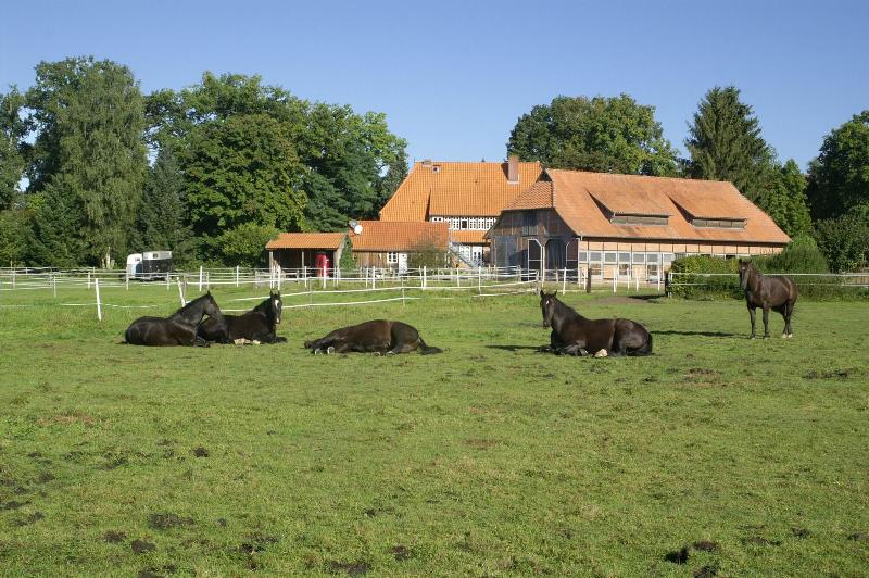 Hotel Traumzeithof image
