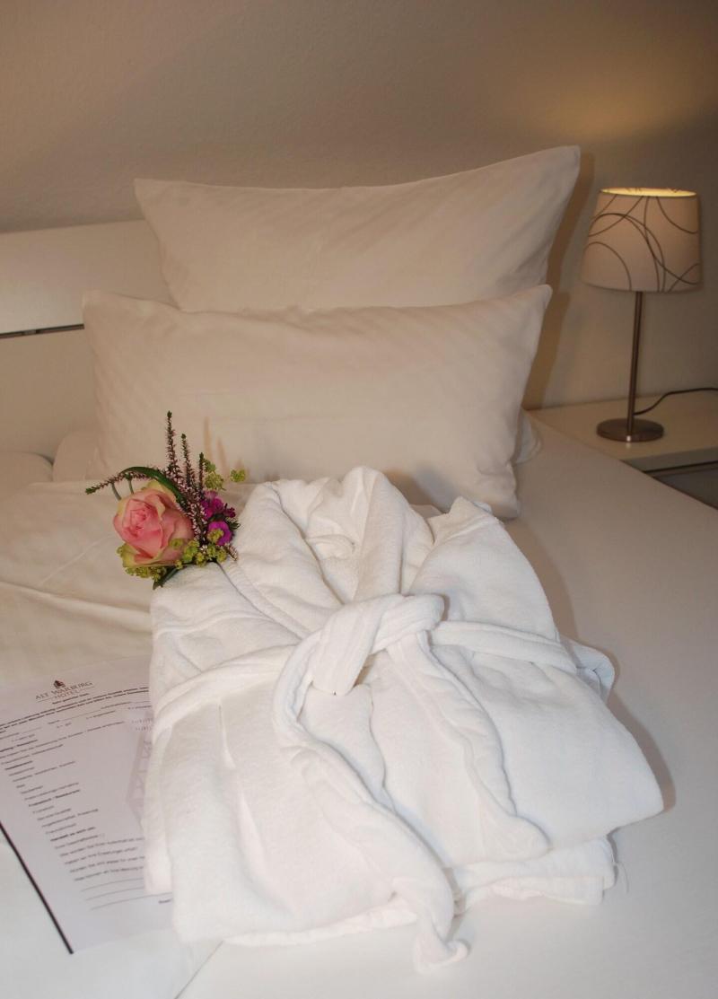 Hotel Alt Warburg image