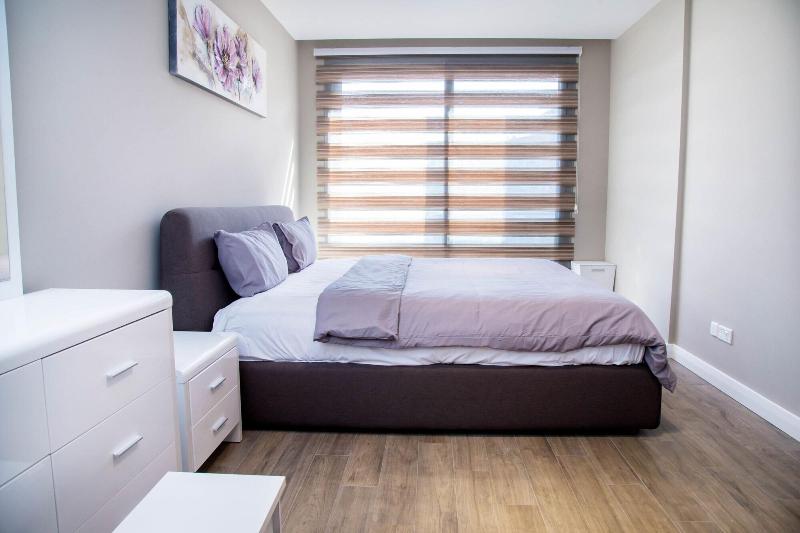 PLS Apartments - Cantonments image