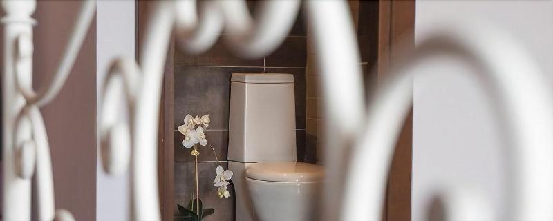 Polys Guest House image 6