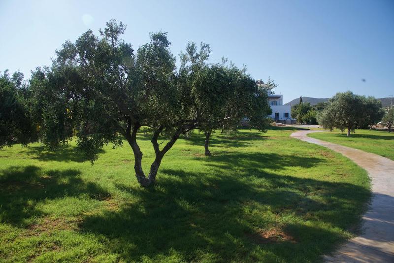 Capari image