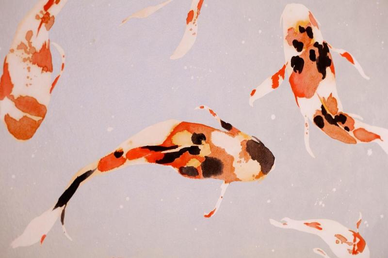 The Rasmus image