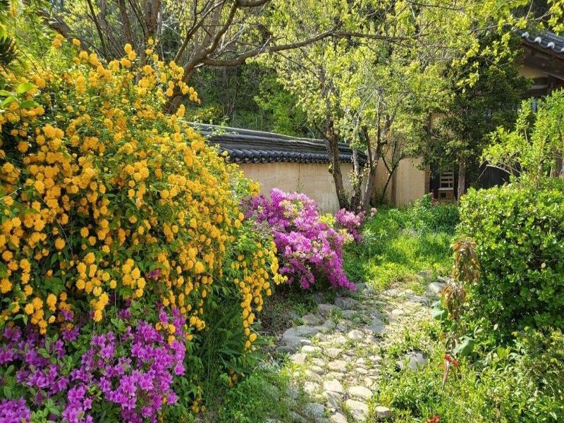 Manhoe Gotaek image