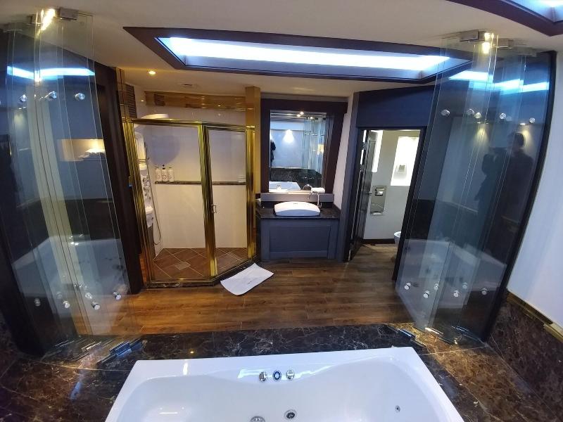 Aria Hotel Seosan image