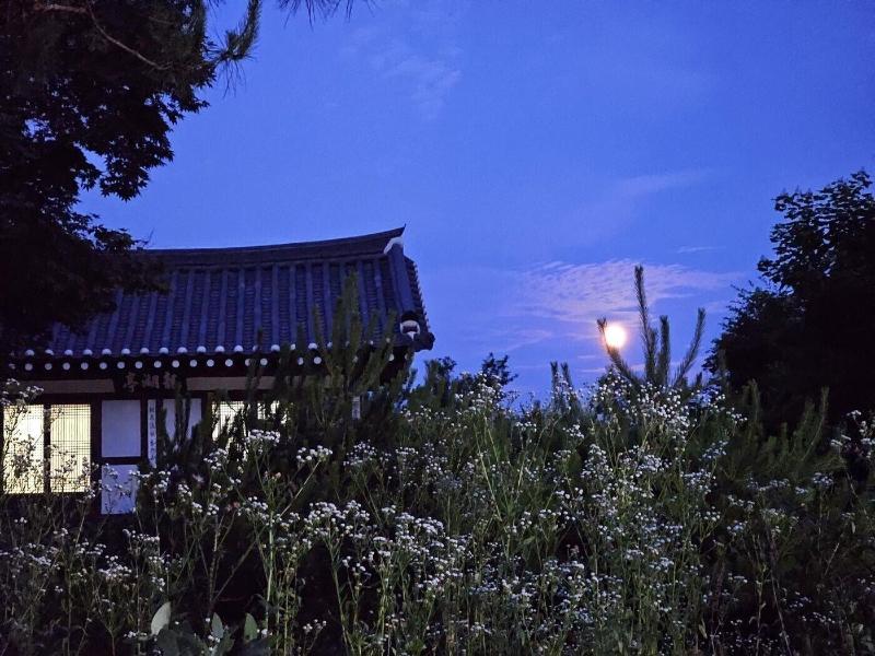Tohyang Gotaek image
