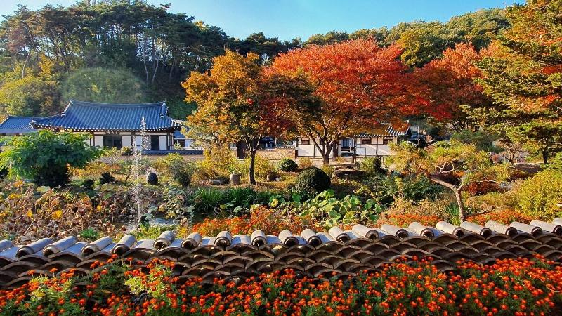 Tohyang Gotaek image