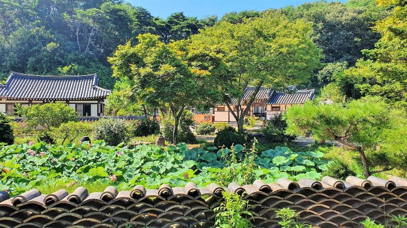 Tohyang Gotaek image