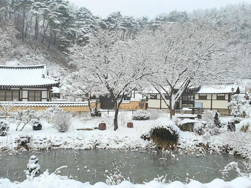 Tohyang Gotaek image