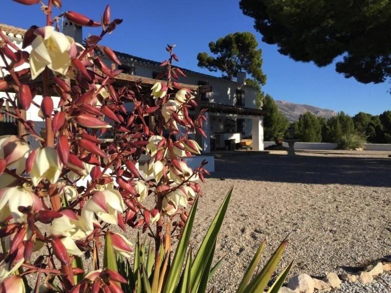 Cortijo El Ciruelo — photo 4