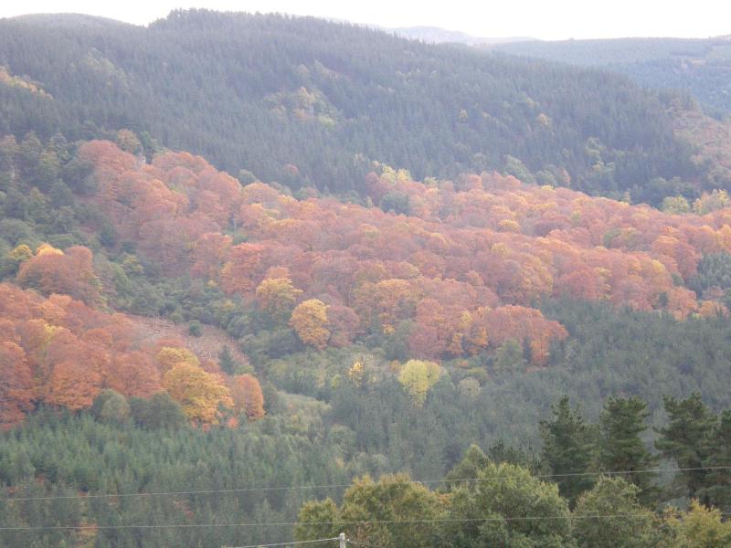 Mendi Alai image