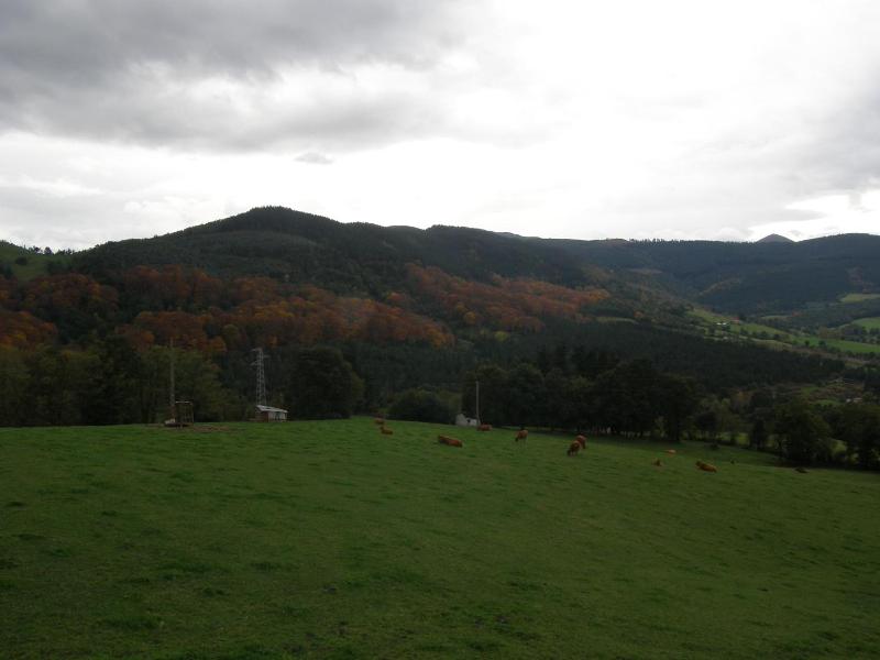 Mendi Alai image