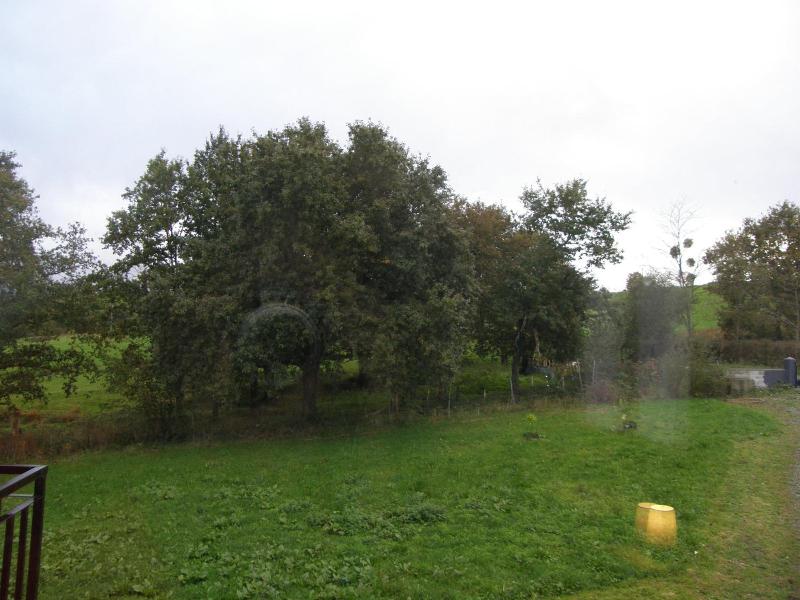 Mendi Alai image