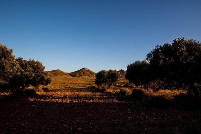 Oro Y Luz image