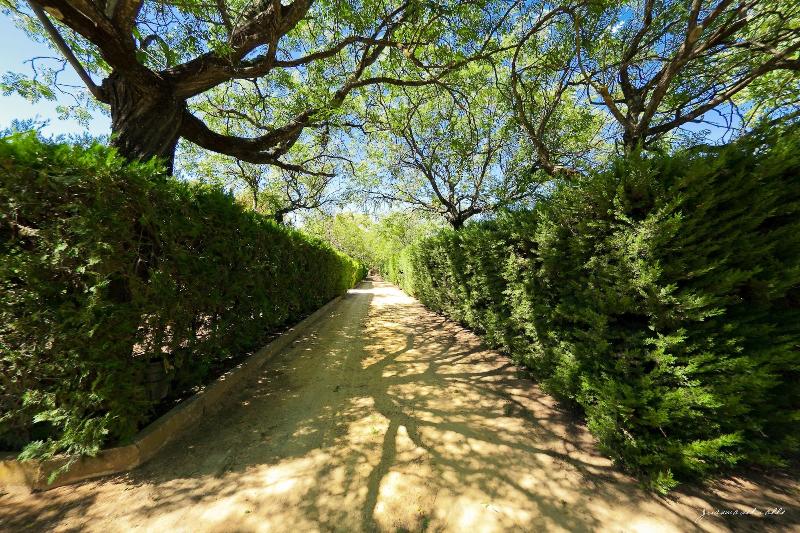 Lantana Garden image