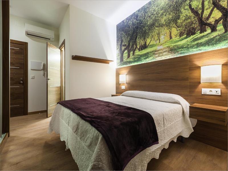 Hotel Arriola image