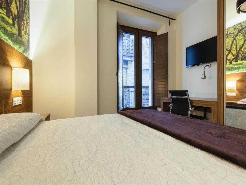 Hotel Arriola image