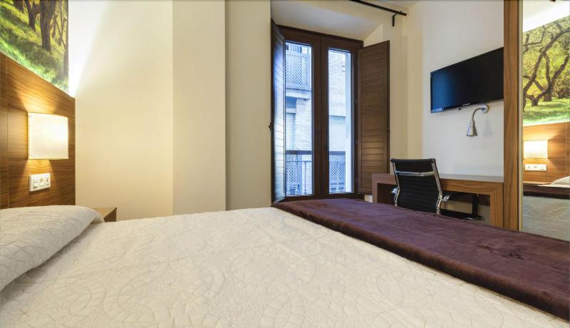 Hotel Arriola image