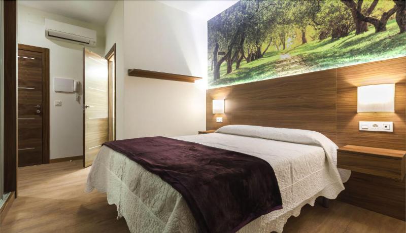 Hotel Arriola image