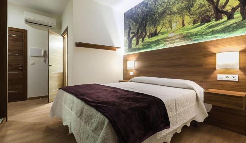 Hotel Arriola image