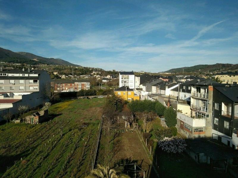 Hostal Mayo image