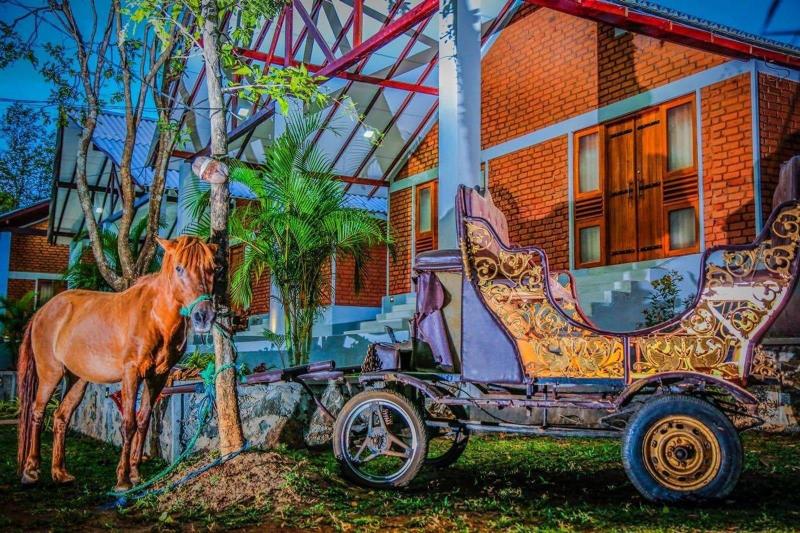 Hotel Viverra image
