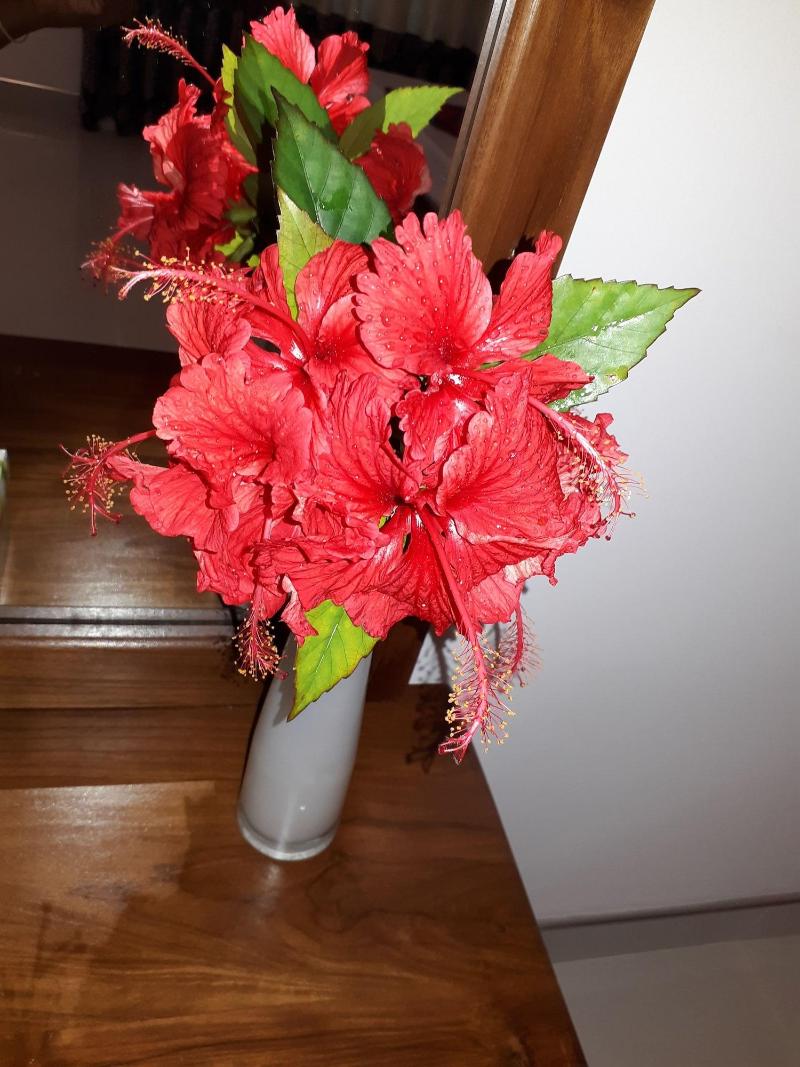 Sigiri Hibiscus Villa image