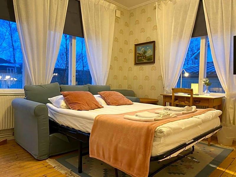 Borgs Villahotell image