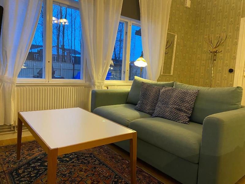 Borgs Villahotell image