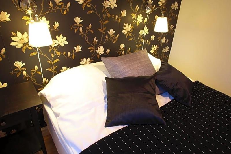 Borgs Villahotell image