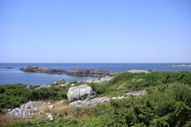 Rasta Hallandsåsen image