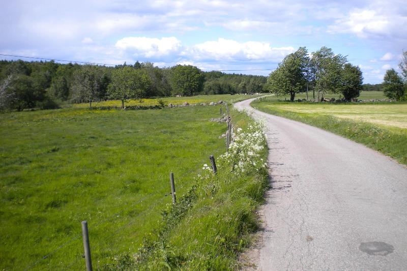 Rasta Hallandsåsen image