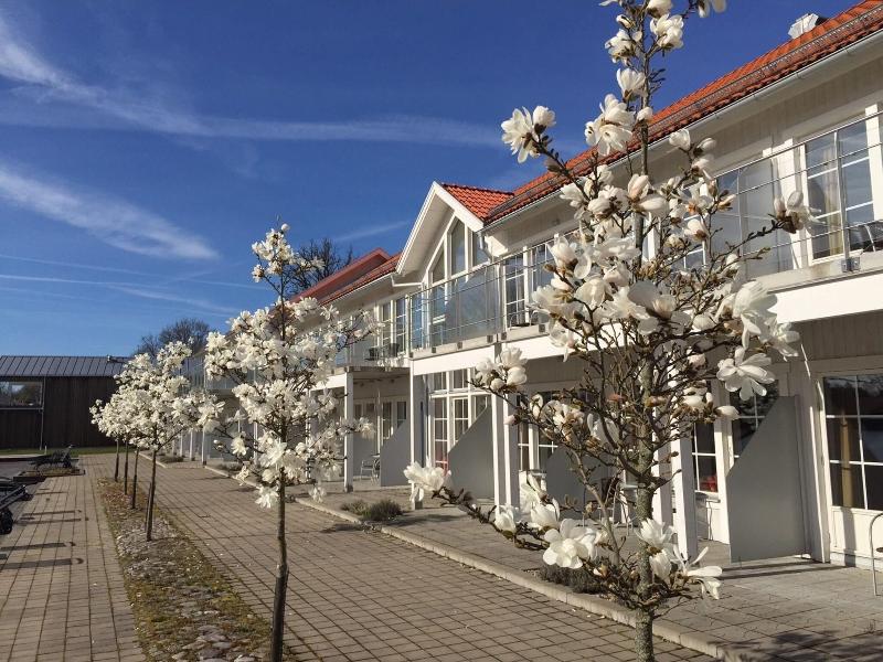 Gränsö Slott Hotel & Spa image