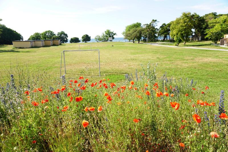 Visby Gustavsvik image