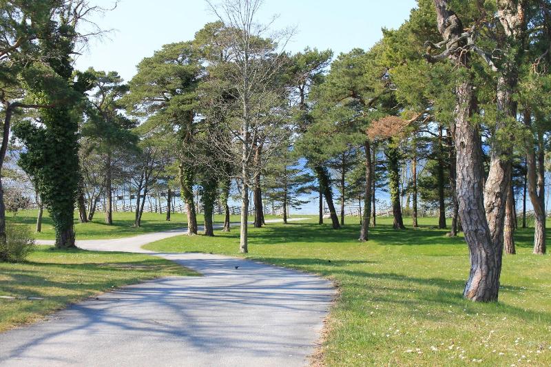 Visby Gustavsvik image