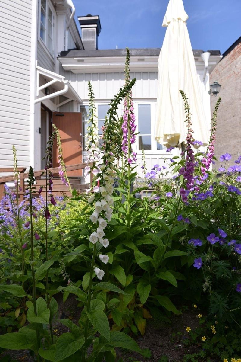 Villa Sedin Bed & Breakfast — general view