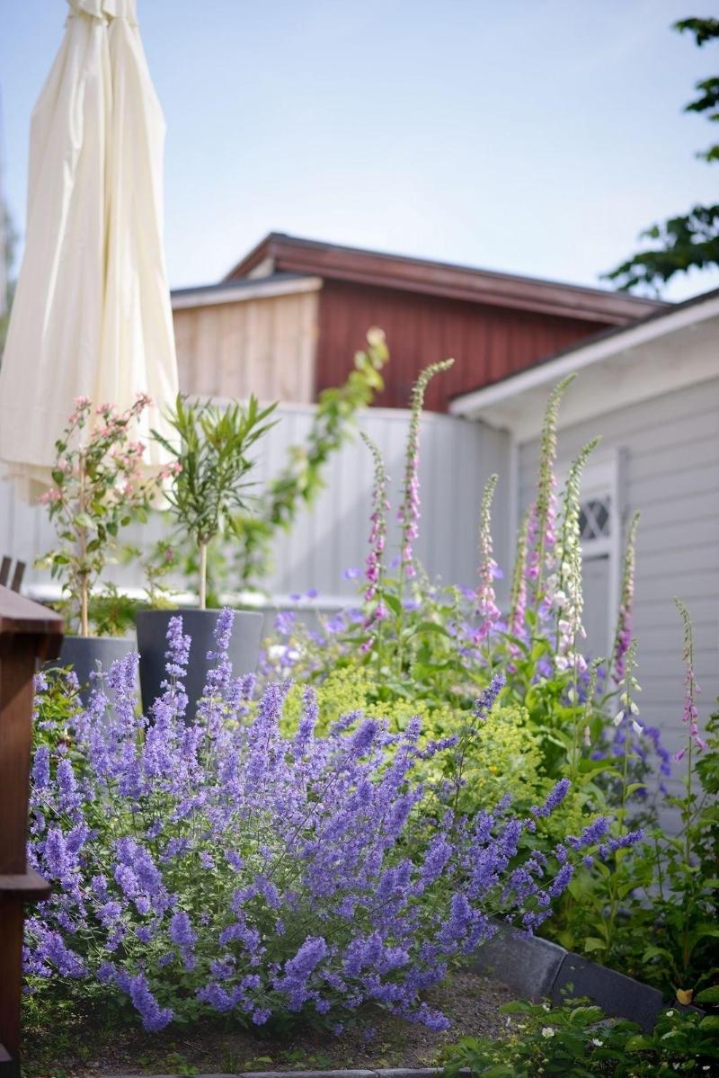 Villa Sedin Bed & Breakfast image