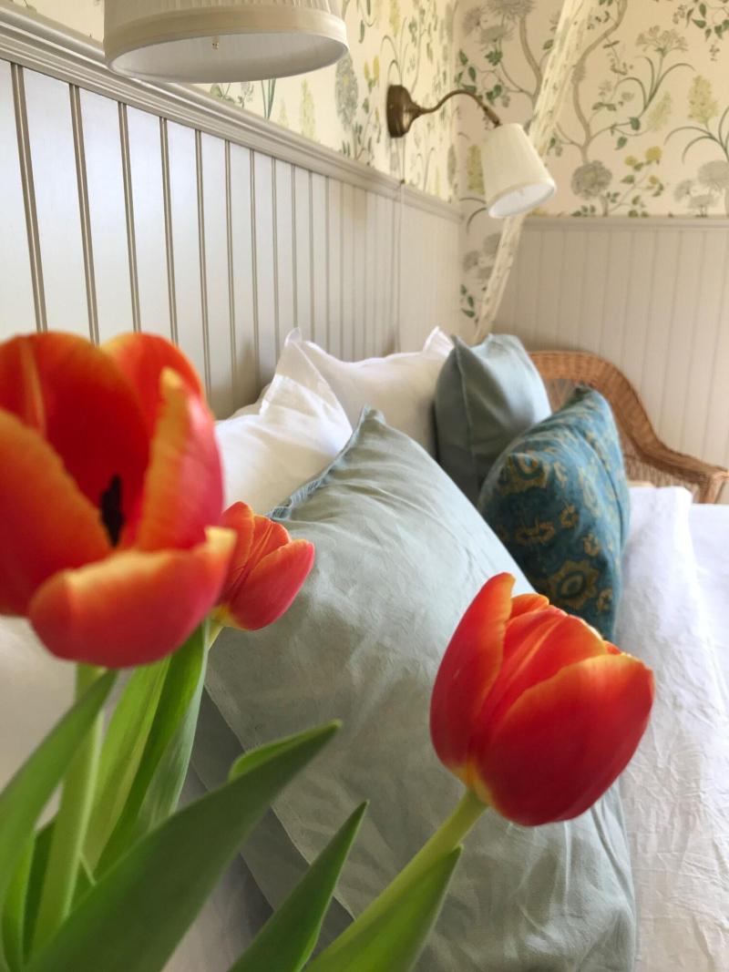 Villamilsten Bed & Breakfast image