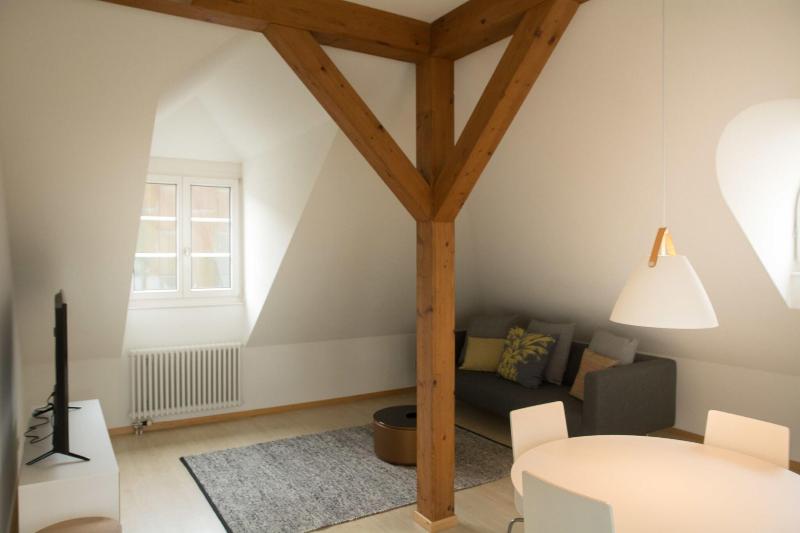 Airhome Zug Neugasse Stadtzentrum image