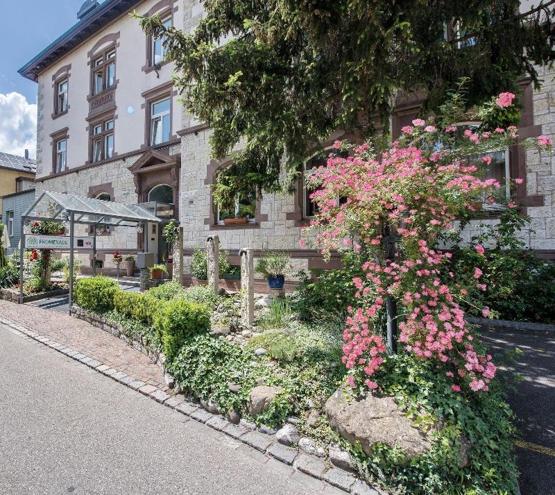 Hotel Promenade image