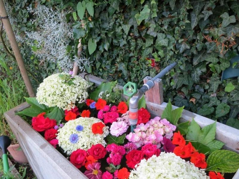 Hotel Promenade image