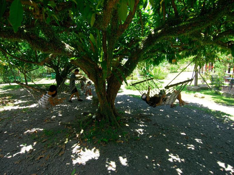 Country Grange image