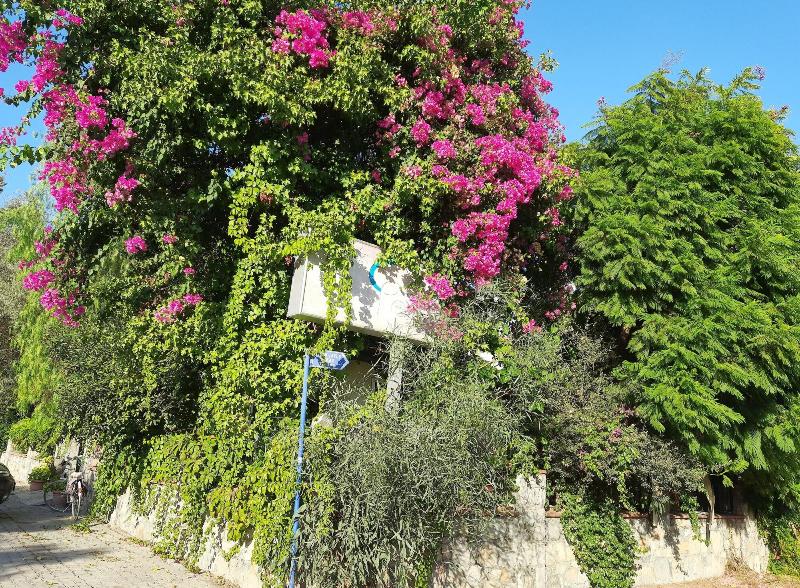 Göcek Opera Hotel image